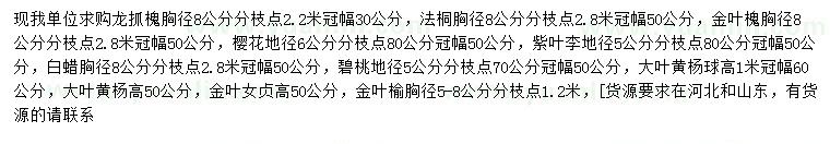 求購龍抓槐、法桐、金葉槐等