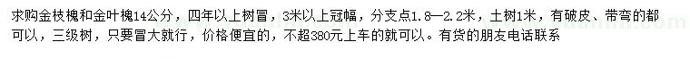求購14公分金枝槐、金葉槐
