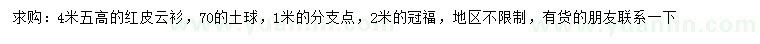 求購高4.5米紅皮云衫