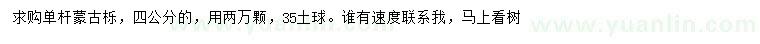 求購(gòu)4公分單桿蒙古櫟