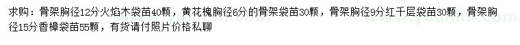 求購火焰木、黃花槐、紅千層等