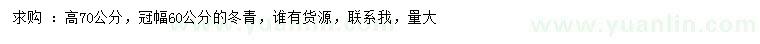 求購(gòu)高70公分冬青