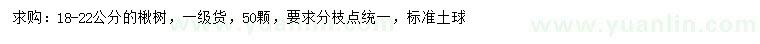 求購18-22公分楸樹