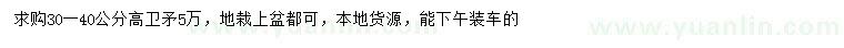 求購高30-40公分衛(wèi)矛