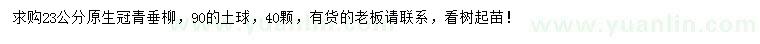 求購(gòu)23公分青垂柳