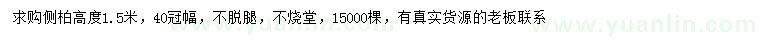 求購高1.5米側(cè)柏