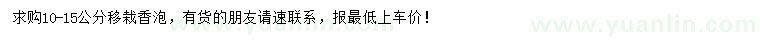 求購10-15公分移栽香泡		