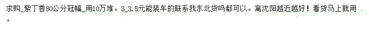 求購(gòu)冠幅80公分紫丁香