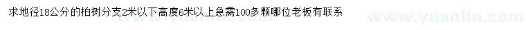 求購地徑18公分柏樹