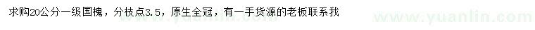 求購(gòu)20公分國(guó)槐