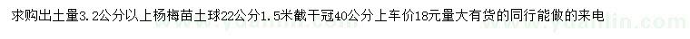 求購3.2公分以上楊梅苗