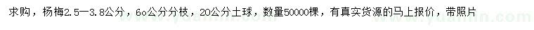 求購(gòu)2.5-3.8公分楊梅