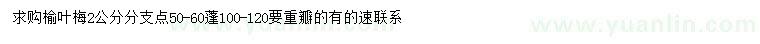 求購2公分榆葉梅
