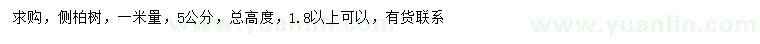 求購1米量5公分側(cè)柏