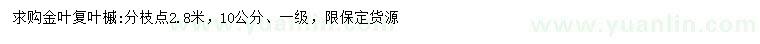 求購10公分金葉復葉槭