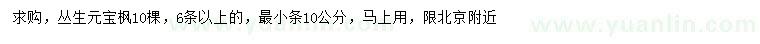 求購叢生元寶楓