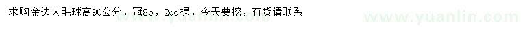 求購高90公分金邊大毛球