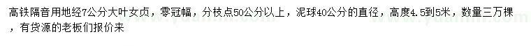 求購地徑7公分大葉女貞