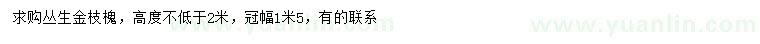 求購高2米以上叢生金枝槐