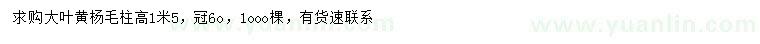 求購(gòu)高1.5米大葉黃楊毛柱