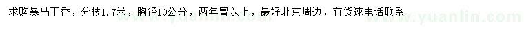 求購(gòu)胸徑10公分暴馬丁香