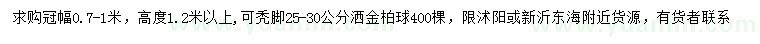 求購25-30公分灑金柏球