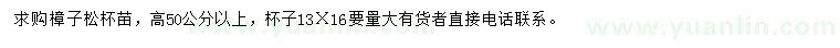 求購高50公分以上樟子松