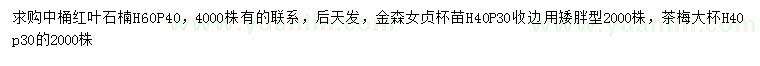 求購紅葉石楠、金森女貞、茶梅