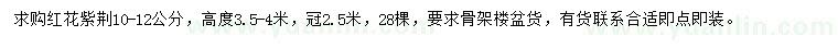 求購10-12公分紅花紫荊