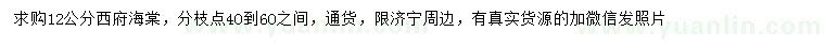 求購(gòu)12公分西府海棠