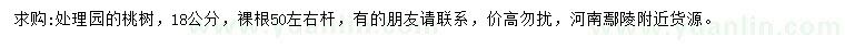 求購(gòu)18公分桃樹