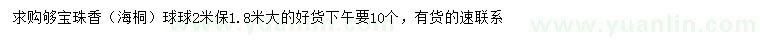 求購2米寶珠香球