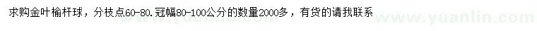 求購冠幅80-100公分金葉榆桿球