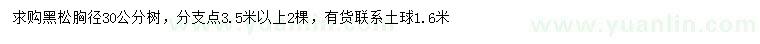 求購(gòu)胸徑30公分黑松