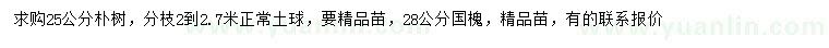 求購25公分樸樹、28公分國槐