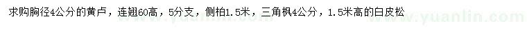 求購黃櫨、連翹、側(cè)柏等