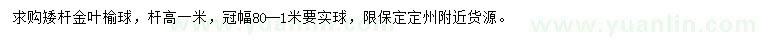 求購(gòu)高1米矮桿金葉榆球