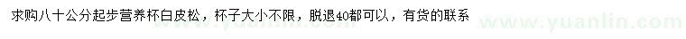 求購80公分起步白皮松