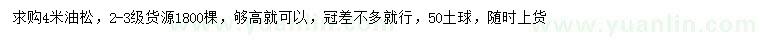 求購(gòu)4米油松