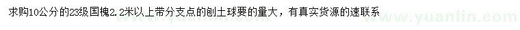 求購10公分國槐