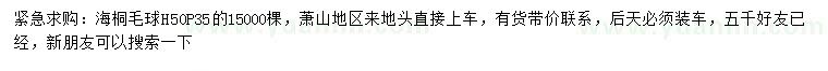 求購(gòu)高50公分海桐毛球