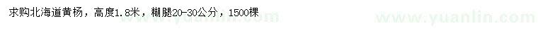 求購高1.8米北海道黃楊