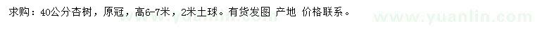 求購40公分杏樹