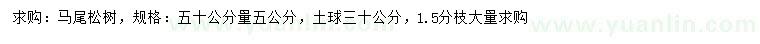 求購50公分量5公分馬尾松