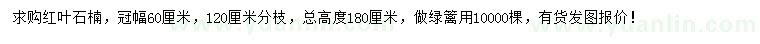 求購冠幅60公分紅葉石楠