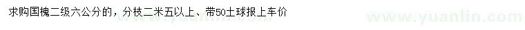 求購6公分國槐