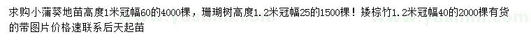 求購小蒲葵地苗、珊瑚樹、矮棕竹