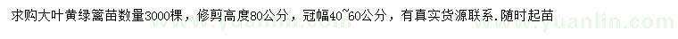 求購(gòu)高80公分大葉黃
