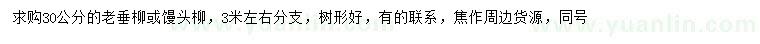 求購30公分老垂柳或饅頭柳