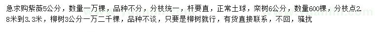 求購紫薇、欒樹、柳樹